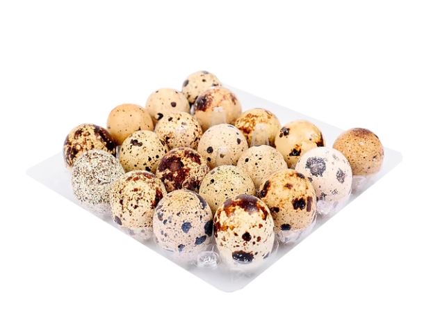 Яйцо перепелиное 20шт