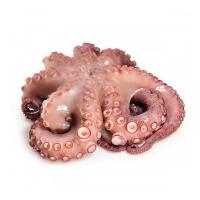 Осьминог с/м  1-2 кг