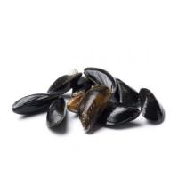 Мидии ГОЛУБЫЕ закрыт. раковины в/м 40/60 Чили