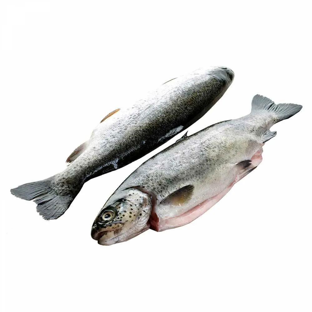 Форель речная с/м, 250-300