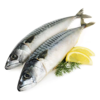 Скумбрия, н/р 400-600 Скумбрия, н/р 400-600