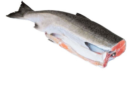 Горбуша см потр бг 122