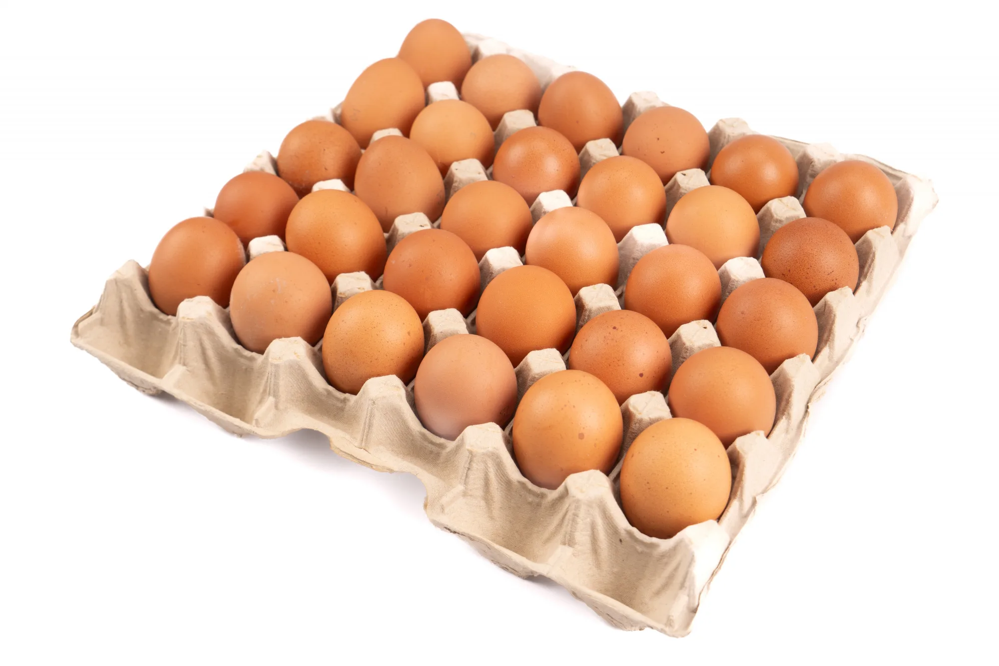 Яйцо столовое 1 категории 1/360шт