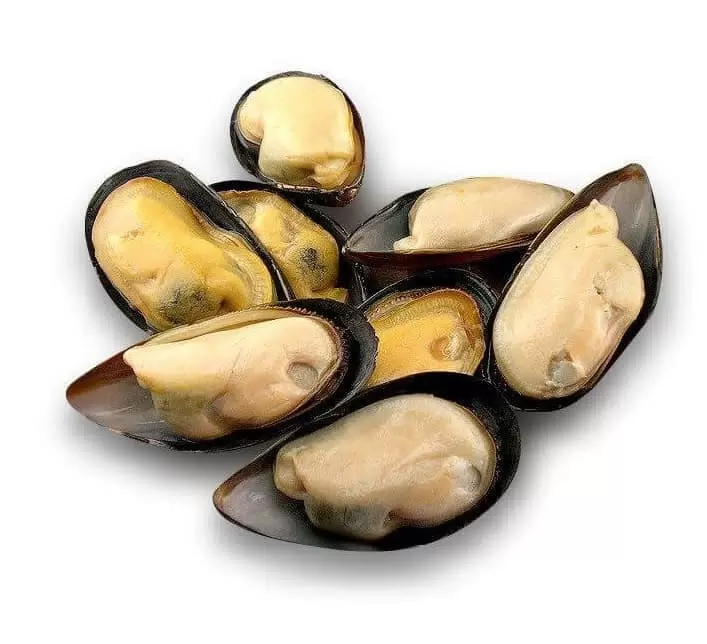 Мидии голубые 1/2 ракуш.  1кг /12