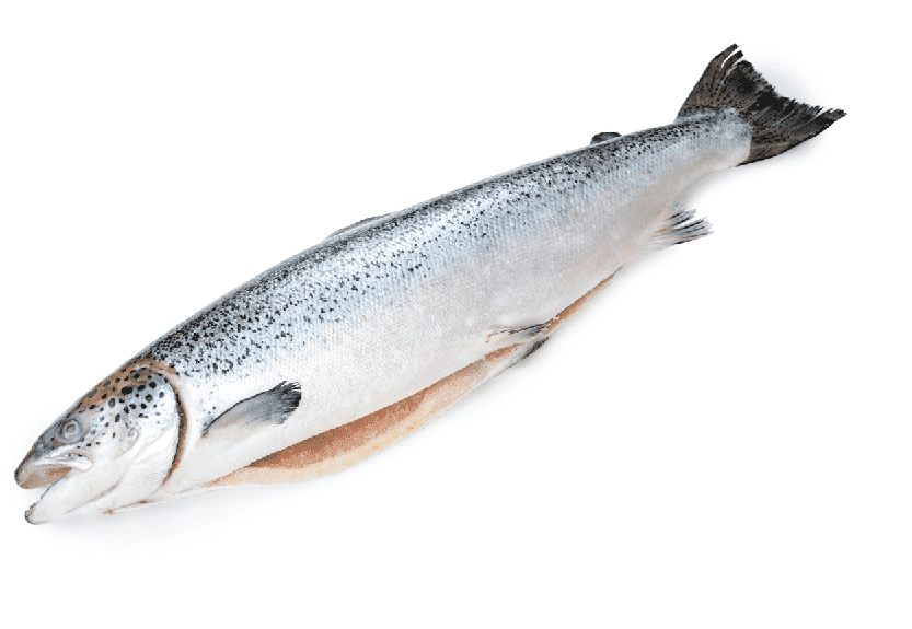 Лосось  с/м 4 - 5 премиум