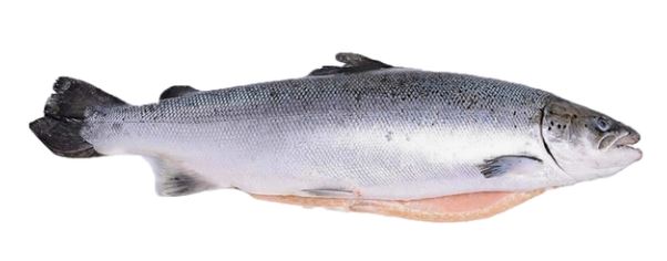 Лосось  с/м 6 - 7 премиум