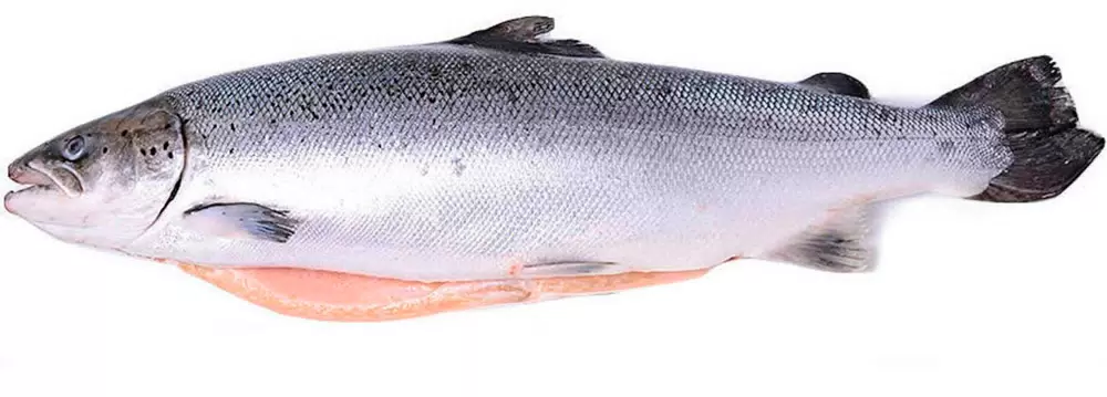 Лосось  с/м 2 - 3 премиум Лосось  с/м 2 - 3 премиум