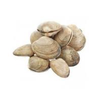 Клемы в/м 31/40 0,5кг /20 Вонголе