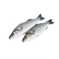 Бранзина сибас с/м 300/400 гр. Бранзина сибас с/м 300/400 гр.