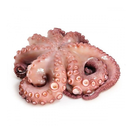 Осьминог с/м  1-2 кг