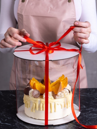 Коробка-ТУБУС для торта 240х240х240