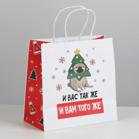 Пакет НОВОГОДНИЙ "А вас также" 22х22х11см 6249087