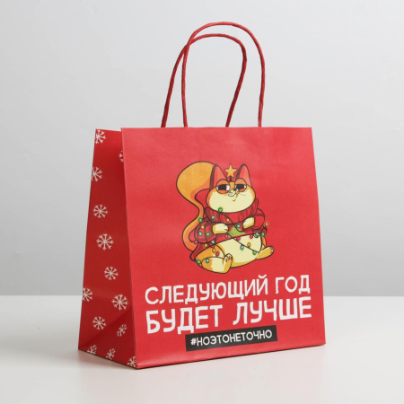 Пакет НОВОГОДНИЙ "Следующий год будет лучше" 22х22х11см 6249076