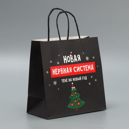 Пакет НОВОГОДНИЙ "Новая нервная система" 22х22х11см 9524135