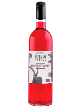 Сироп МАЛИНА МЯТА 1 л /6